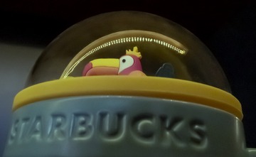 537323