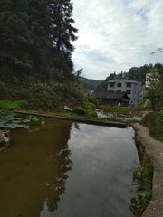 2630439