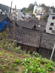 2630437
