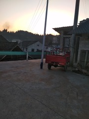 2653590