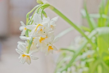 DSC09138-1-3.jpg