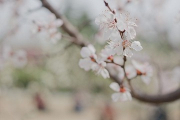 DSC09295-1.jpg