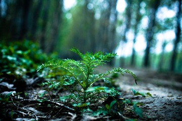 DSC09520-2.jpg