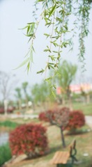 DSC09571.jpg