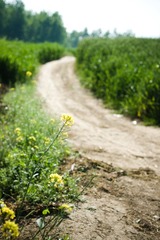 DSC09817.jpg