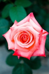 DSC00028.jpg