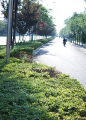 DSC00058.jpg