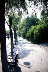 DSC00067.jpg