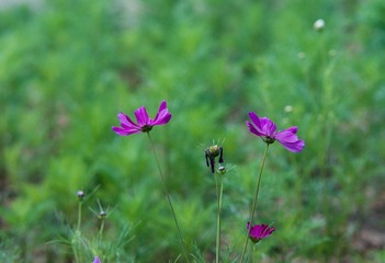 DSC00924-2.jpg