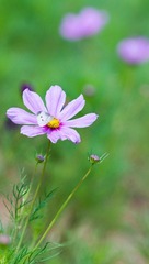 DSC00927-2.jpg