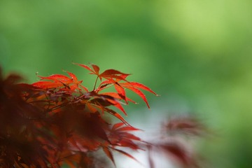 DSC01019.jpg