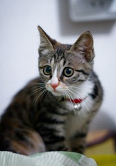 DSC02501-4.jpg