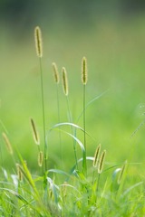 DSC08902-1.jpg