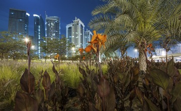 DSC09040-1.jpg