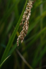 DSC05002-1.jpg