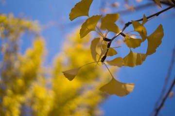 DSC00052-1.jpg