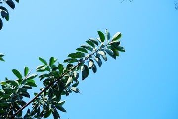 2E47B0B2-D005-400B-B3DB-2F8F148EB786/L0/001