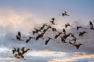 102189