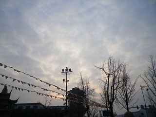 101 238_副本.jpg
