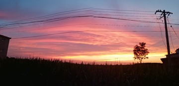 432593