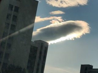 1000012262