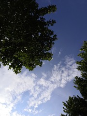 052D3607-9BF8-4578-8A12-60BBBF51209E/L0/001