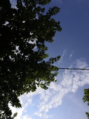 052CF8E8-553B-45E6-AADB-B69EE2DE0925/L0/001