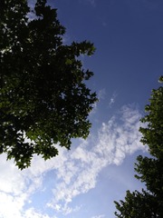 B21F6791-1792-4E0E-AD2D-31406EC7071D/L0/001