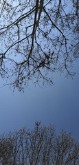 A7B56176-FAEC-4574-B69C-A00E82C8E88B/L0/001