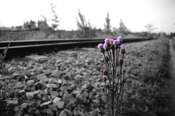 100F8986-36EF-4F03-94B9-53200E10FEB0/L0/001