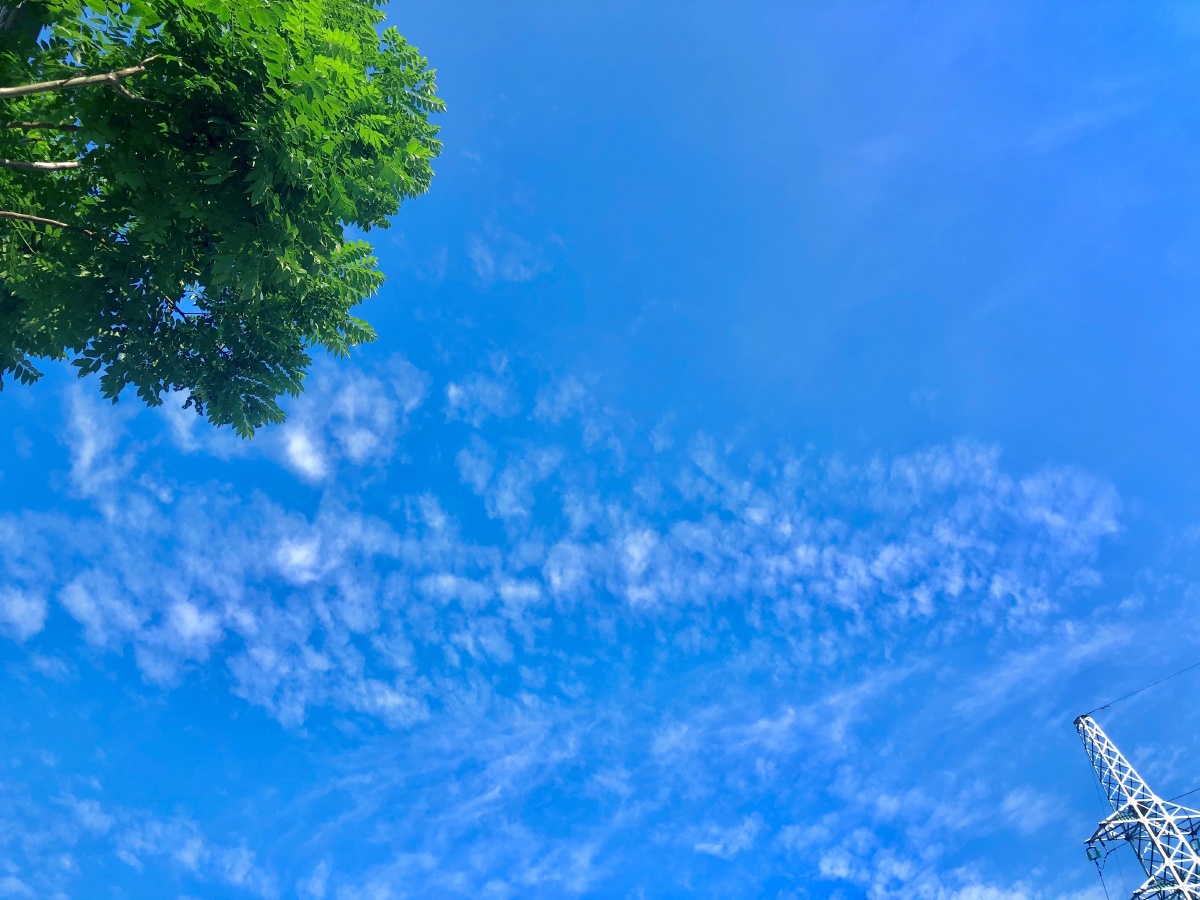 捕捉夏日的天空