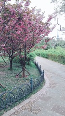 9B798BF5-9426-428F-931C-0BB6CD557600/L0/001