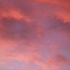 1576B356-480F-45F9-95E3-909C38C6D932/L0/001