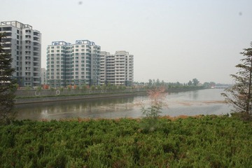 IMG_8827.JPG