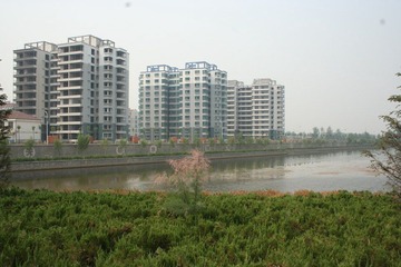 IMG_8826.JPG