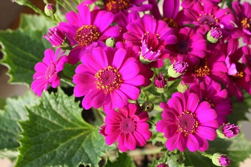 IMG_0926.JPG