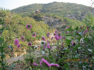 IMG_1921.JPG