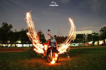 Fly...jpg