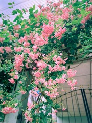 81FCCAE3-9B8E-4DBC-9C8E-B43EF22F206F/L0/001