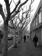IMG_3748.jpg