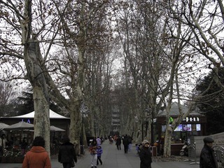 IMG_3758.jpg