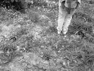 20120208362.jpg