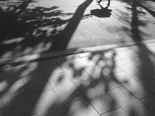 20120508567.jpg