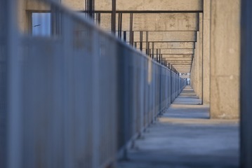 LJC_4992