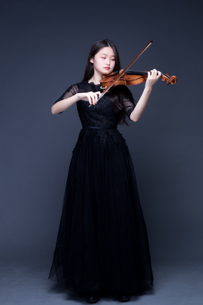 一组优雅高贵的小提琴