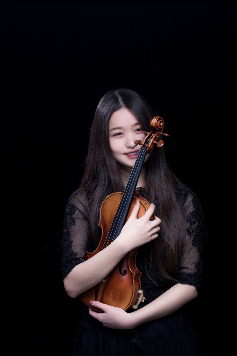 一组优雅高贵的小提琴