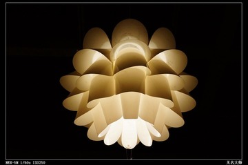 nEO_IMG_DSC00994.jpg