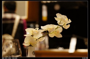 nEO_IMG_DSC01000.jpg