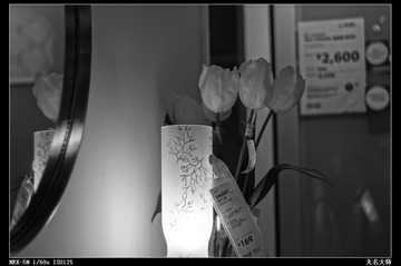 nEO_IMG_DSC01012.jpg