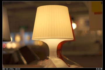 nEO_IMG_DSC01016.jpg